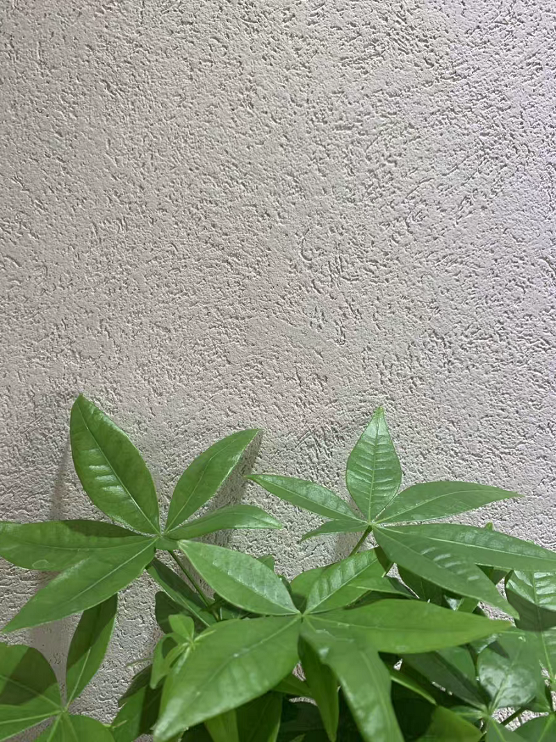 萬磊雅晶石  內(nèi)附施工視頻，史上最全的雅晶石全攻略收錄