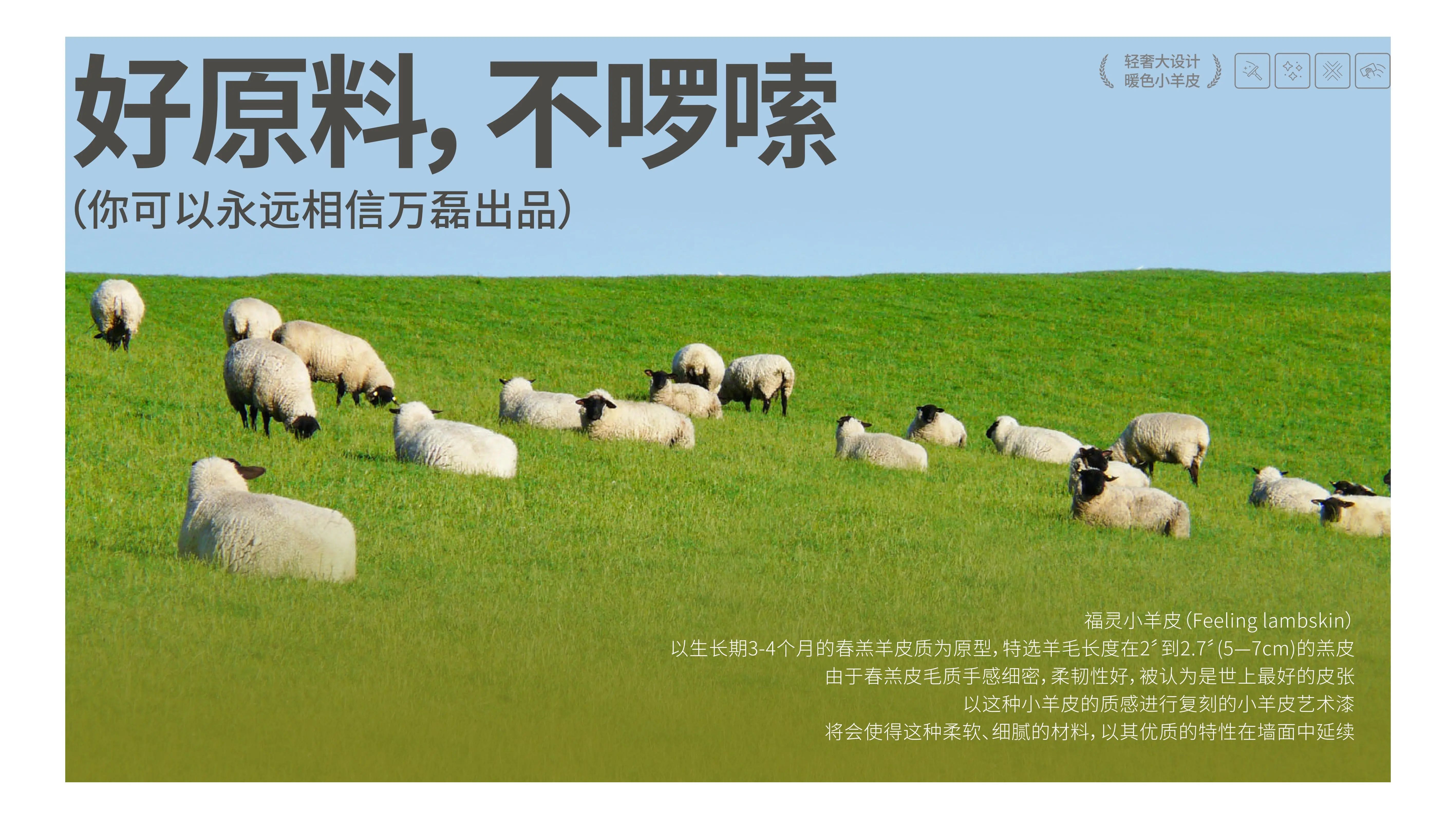 萬磊福靈小羊皮來啦！多樣的表面質(zhì)感等您來解鎖~