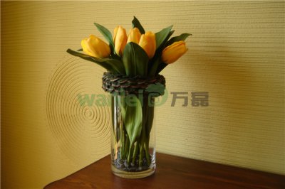 有了硅藻泥，新房入住不再等！