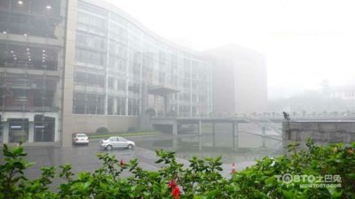 驚蟄過，春雨至，硅藻泥讓你告別濕轆轆